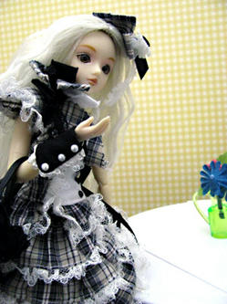 090825.j3.jpg