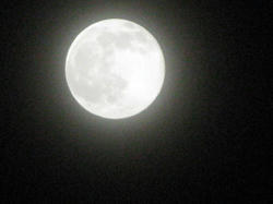 091004.m2.jpg