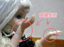 101103.1.jpg
