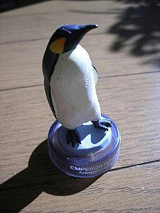 20080130_pen1.jpg