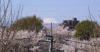2008-04-01fuji.jpg