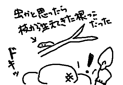 fimg_1208830156.png