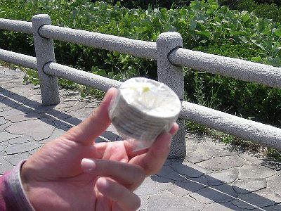 2008-07-30_yasima2.jpg
