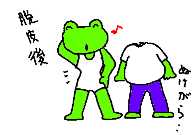 fimg_1221441374.png