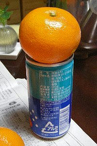 2008-12-14_mikan.jpg