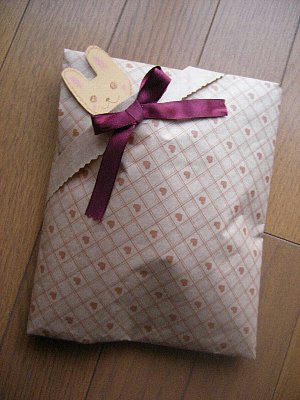 2009-01-07_usagi1.JPG