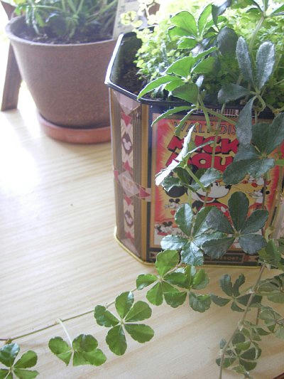 2009-04-09_092154.JPG