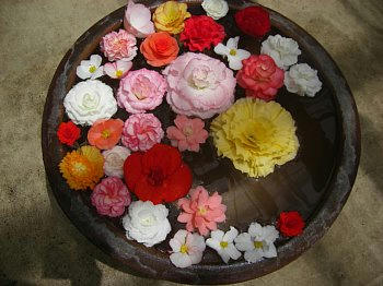 2009-06-23_hana.jpg