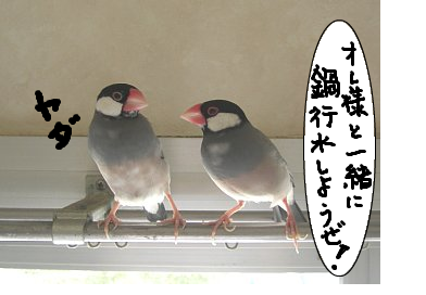 fimg_1250563876.png