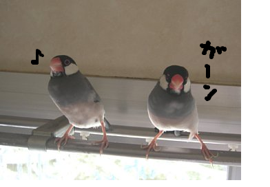 fimg_1250565094.png
