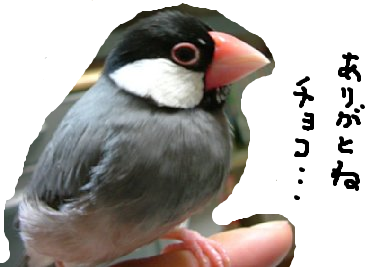 fimg_1255963028.png