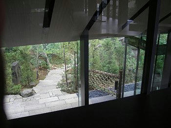 2009-11-08_nezu3.jpg