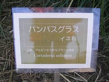 2009-11-26_110646.JPG