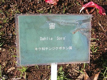 2009-11-26_132514.JPG