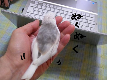 fimg_1261270690.png