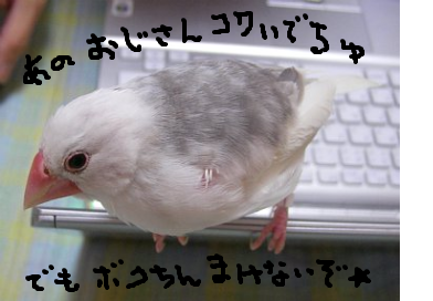 fimg_1261271362.png