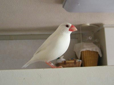 2010-03-14_kan0.jpg