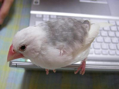 2009-12-20_kan3.jpg