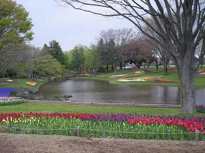 2010-04-17_1.jpg