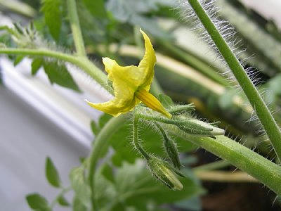 2010-05-25_135837.JPG