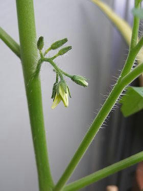 2010-05-25_d.jpg