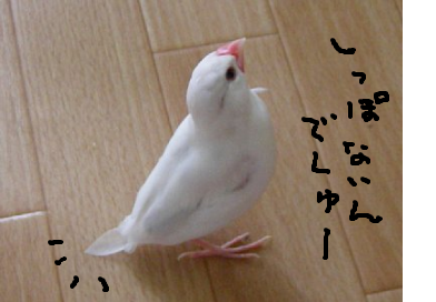 fimg_1274766769.png