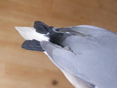 2010-05-26_102301.JPG