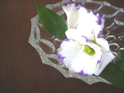 2010-06-24_152823.JPG