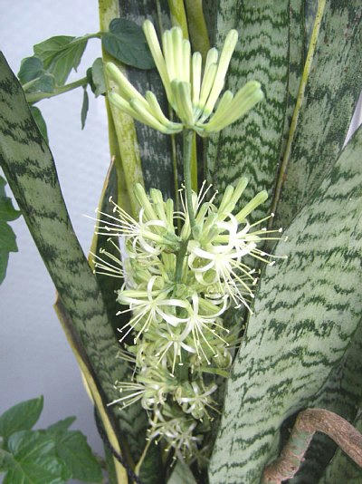 2010-06-30_181032.JPG