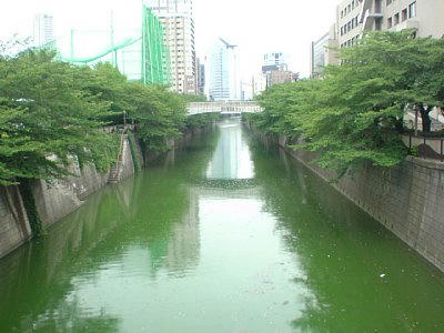 2010-07-11_15-39-22.JPG