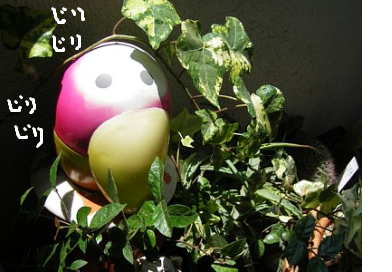 fimg_1280201253.png