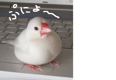 fimg_1280734758.png