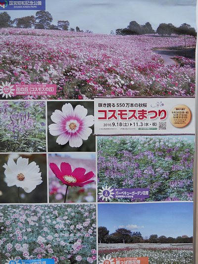 20101017_165118.JPG