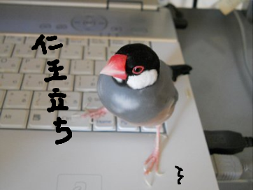 fimg_1287878743.png