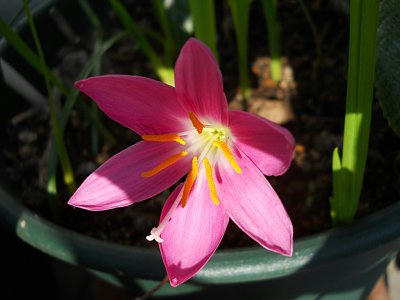 20101112_134600.JPG