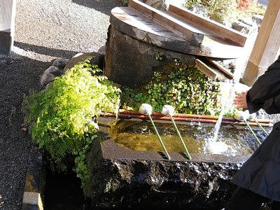 20101128_jindai.jpg