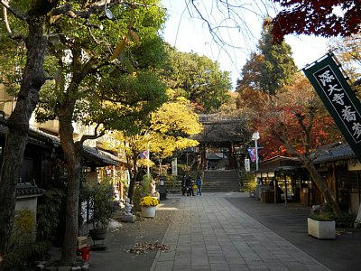 20101128_jindai4.jpg