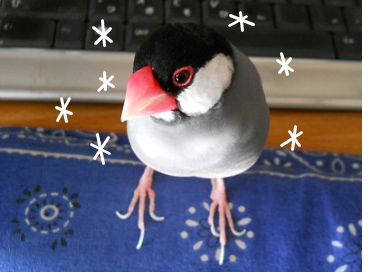 fimg_1292550846.png