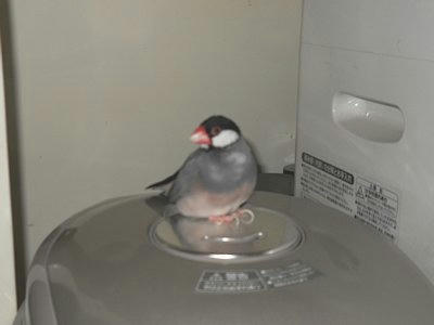 20110217_090716.JPG
