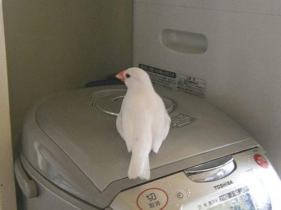20110217_091052.JPG