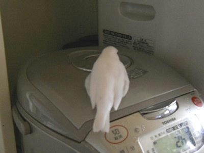 20110217_091116.JPG