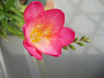 20110324_135700.JPG