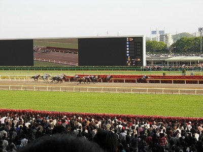 20110424_race2.jpg