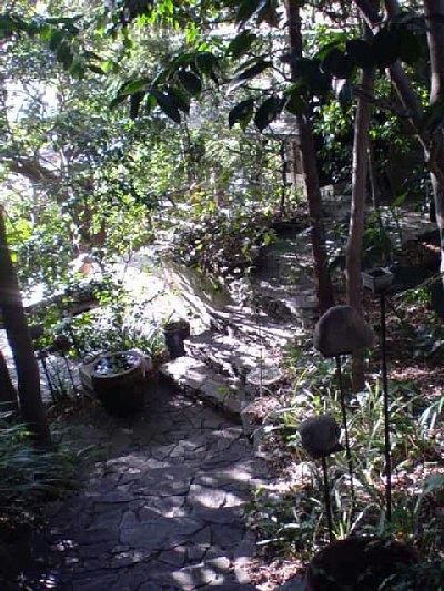 20111126_140010.JPG