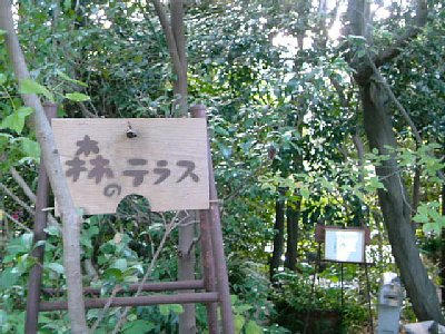 20111126_140116.JPG