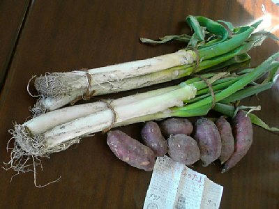 20111126_145809.JPG