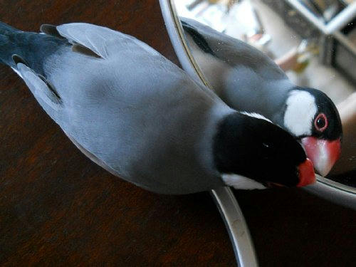 20120313_dai.jpg