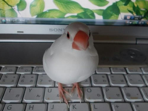 20120903_092526.JPG