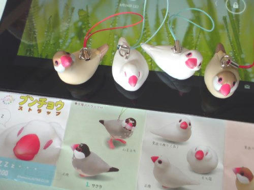 20130824_115519.JPG