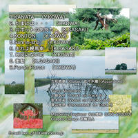 ジャバネイロCD2裏